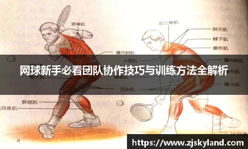 k8凯发新版本